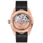 Seamaster Aqua Terra 150m Co‑Axial Master Chronometer GMT Worldtimer 43 mm 220.53.43.22.02.001 - 图片 2