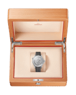 Seamaster Diver 300M Co‑Axial Master Chronometer 42mm 210.32.42.20.06.002 - Image 3